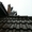 Очищу и покрашу крышу #1563302