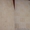 Химчистка ковров,  ковровых покрытий (на дому/вывоз) в Бресте. #1596211