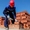 Польская компания ищет рабочих каменщиков для работы в Бельгии