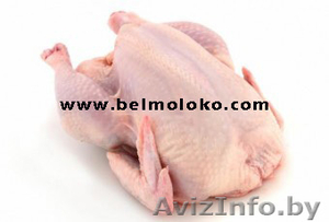 Постоянно покупаем свинину,  говядину,  мясо птицы.