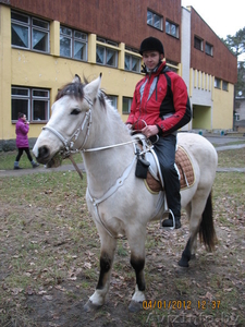 Катание на лошадях в Бресте - Изображение #3, Объявление #523658