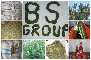bsgroup LTD высококачественные продуктыи из Грузии - Изображение #1, Объявление #716340