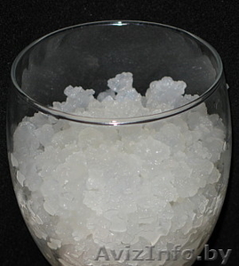 Продам морской индийский рис. Индийский гриб. #798146