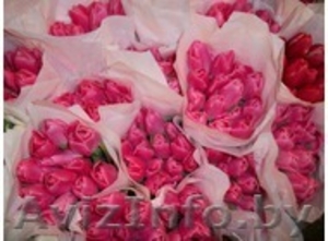 Тюльпаны оптом в Бресте  - Изображение #2, Объявление #849833