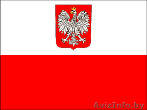 Зарегистрируем анкету для визы за покупками и др. в Польшу! - Изображение #1, Объявление #864249