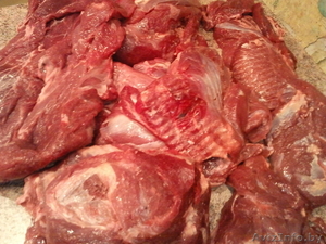 Закупаем говядину блочную безкостную оптом