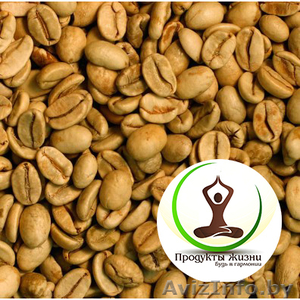 Зеленый кофе. Скидки 50%. Бесплатная доставка в Гродно!