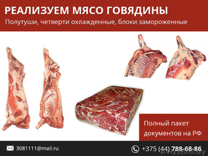 Мясо говядины. Недорого. - Изображение #1, Объявление #1480169