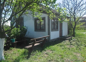 Дом с гаражом в деревне Петьки, 3 км от Кобрина - Изображение #2, Объявление #1496087