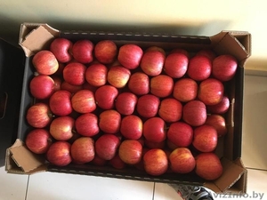 Яблоки польских сортов 70+ от производителя  - Изображение #1, Объявление #1596575