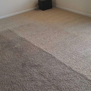 Химчистка ковров с длинным и коротким ворсом - Изображение #3, Объявление #1671696