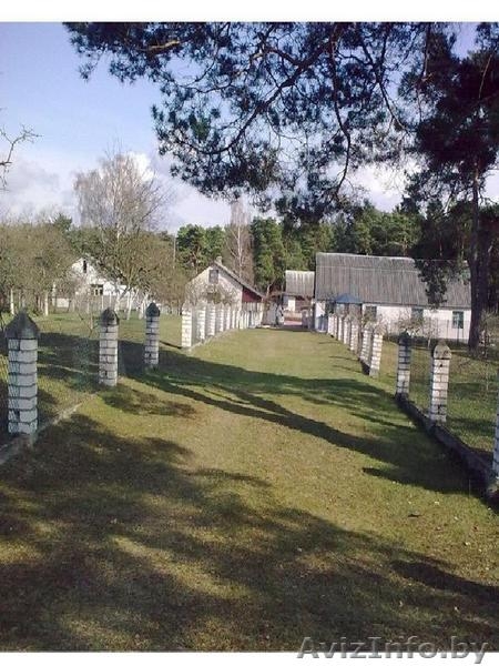 Дом в Домачево(35км южнее Бреста), 50соток, 160кв.м - Изображение #1, Объявление #21104