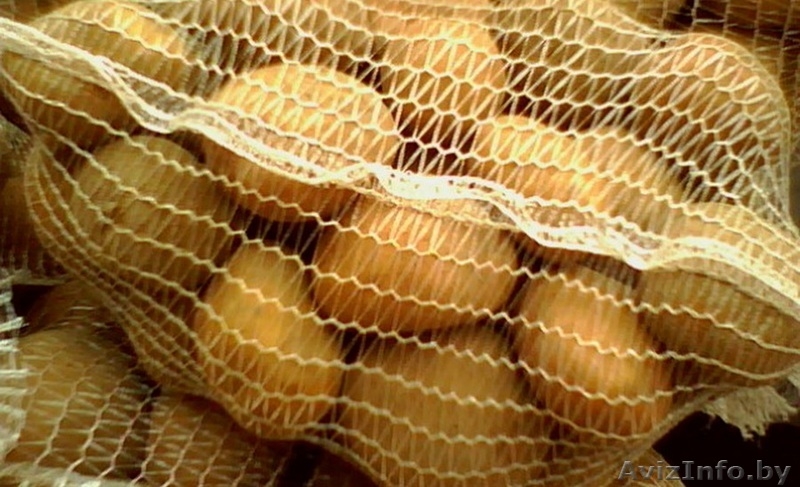 Картофель из Польши. Польская картошка целый год! - Изображение #3, Объявление #171969