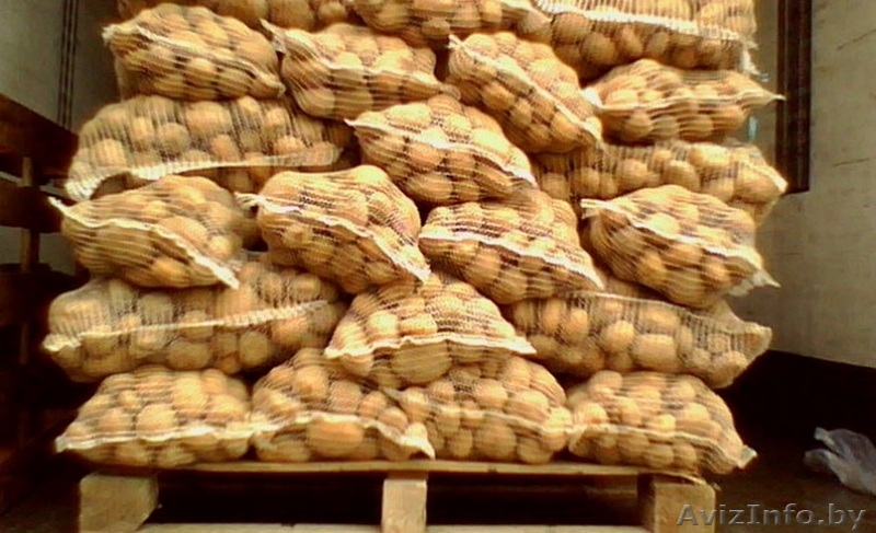 Картофель из Польши. Польская картошка целый год! - Изображение #2, Объявление #171969