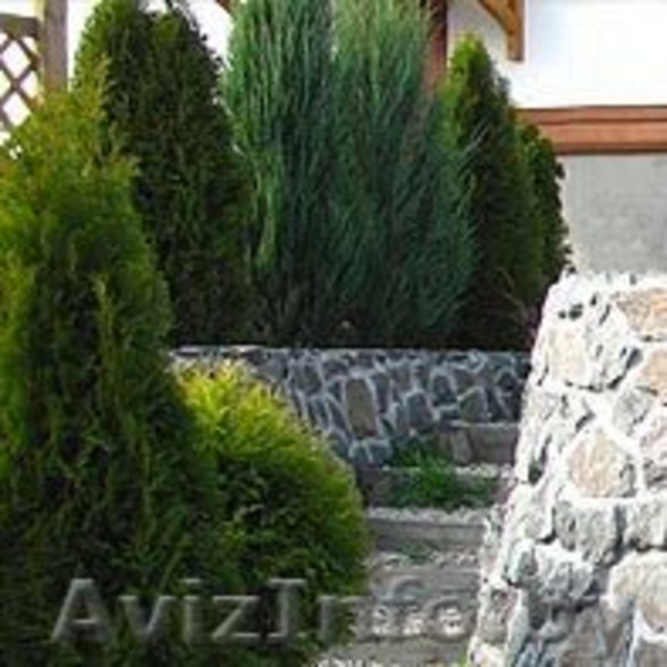 Центр ландшафтной архитектуры, ООО -WWW.GRINCITI.BY - Изображение #4, Объявление #255484