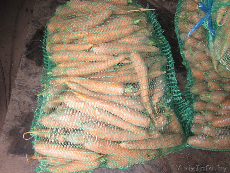 Частное фермерское хозяйство реализует Картофель, Морковь, Капусту  - Изображение #1, Объявление #322943