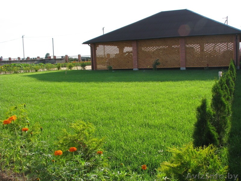 д. Чернвчицы, полностью облагорожен, все удобства - Изображение #3, Объявление #353577