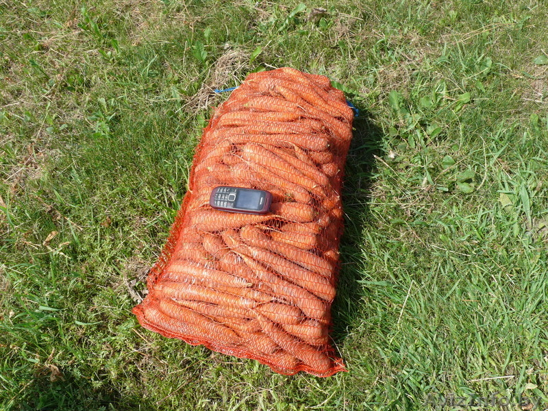 ИООО "БиссолоГабриэлеФарм" - Изображение #1, Объявление #361446