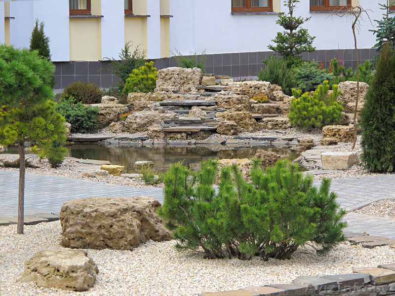 ОЗЕЛЕНЕНИЕ УЧАСТКА, ЛАНДШАФТНЫЙ ДИЗАЙН  - Изображение #5, Объявление #218417