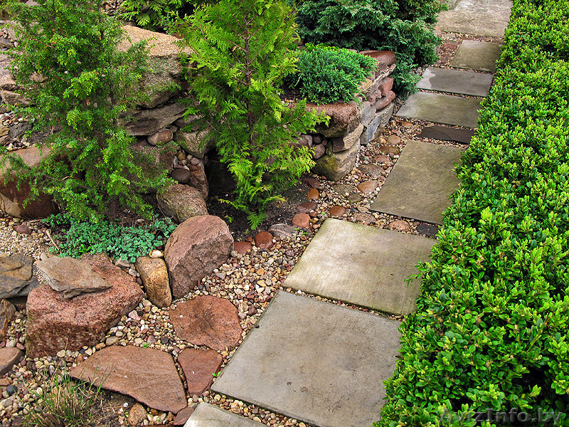 Компания «Грин Сити» Центр ландшафтной архитектуры ООО - Изображение #3, Объявление #473722