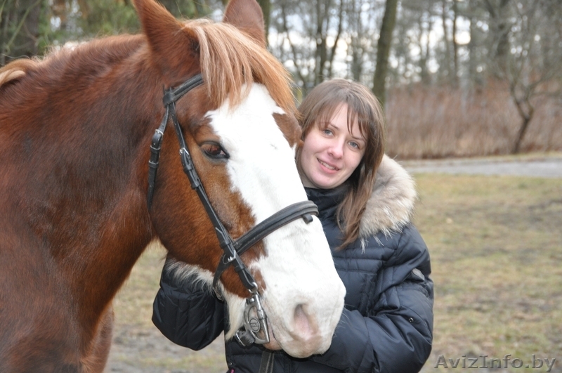 Катание на лошадях в Бресте - Изображение #1, Объявление #523658