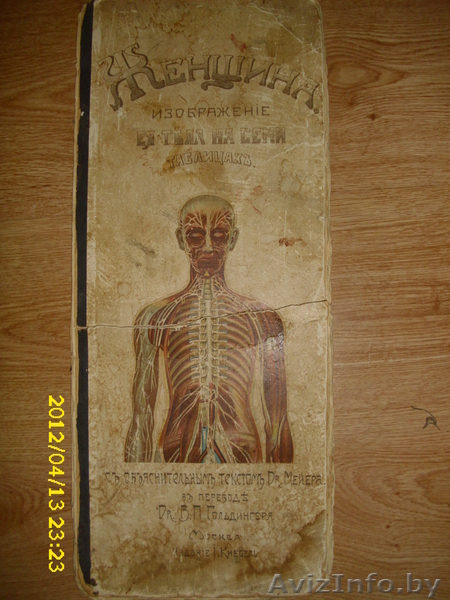 Альбом 1908г.Женщина. - Изображение #1, Объявление #641660