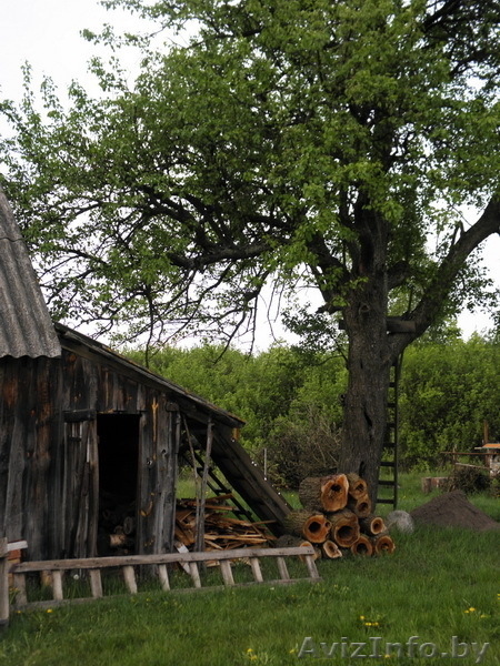  Земельный участок продам, 25 км от г Бреста - Изображение #9, Объявление #780424