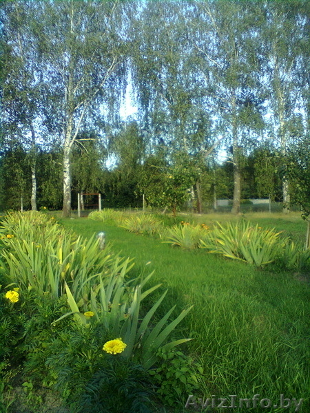  Земельный участок продам, 25 км от г Бреста - Изображение #4, Объявление #780424