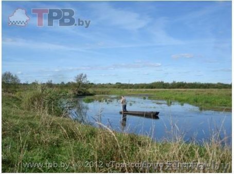 Продается действующая агроэкоусадьба в Пуще! - Изображение #7, Объявление #792206