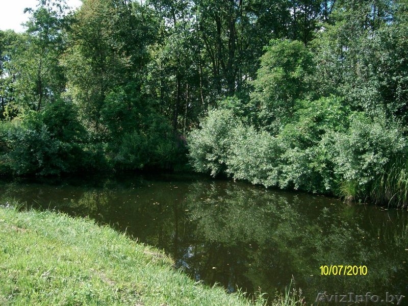 Дом в 10км от Беловежской пущи - Изображение #4, Объявление #824130