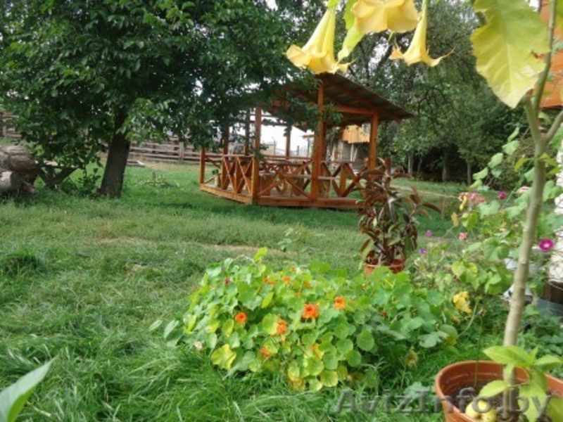 Дом в 10км от Беловежской пущи - Изображение #2, Объявление #824130