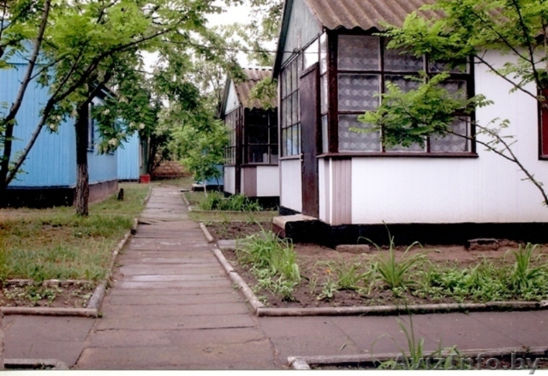 отдых в Коблево на Черном море - Изображение #3, Объявление #851899