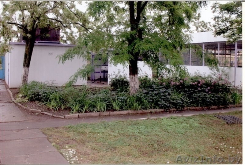 отдых в Коблево на Черном море - Изображение #1, Объявление #851899