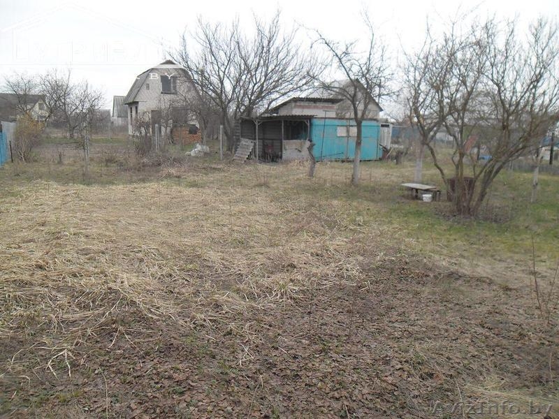 Садоводческое товарищество «Мечта» - Изображение #1, Объявление #889158