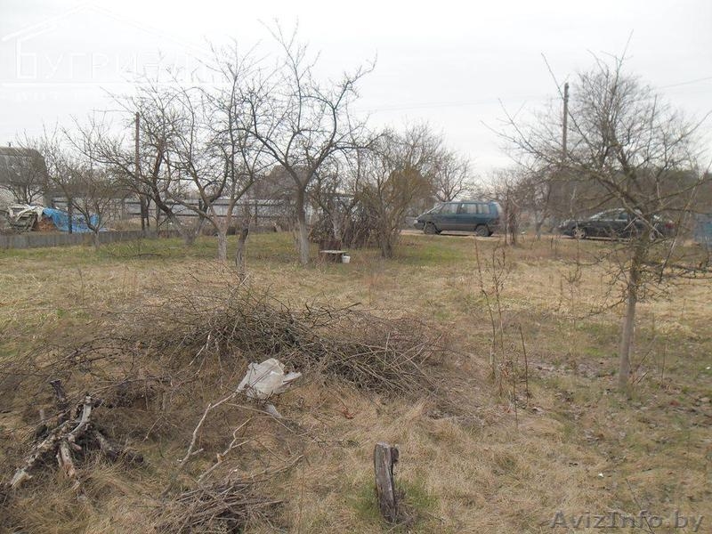 Садоводческое товарищество «Мечта» - Изображение #2, Объявление #889158