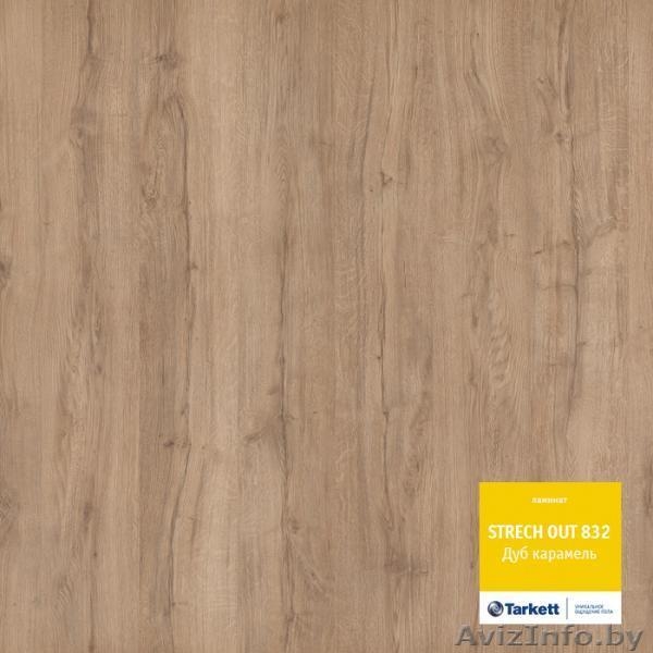 "Таркетпол" - остановись на лучшем! - Изображение #3, Объявление #891950