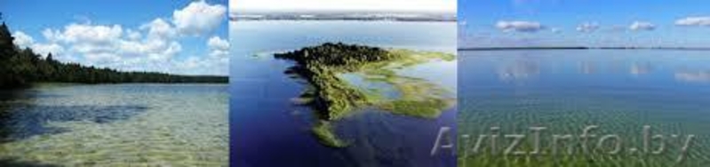Отдых на Свитязе, Шацьких озерах. Майские , летний, бархатный  на Світязі 70м. - Изображение #1, Объявление #891894