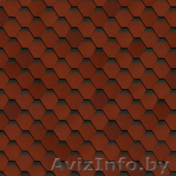 Гибкая (битумная) черепица ШИНГЛАС, TEGOLA в Бресте. Где купить... - Изображение #9, Объявление #13741