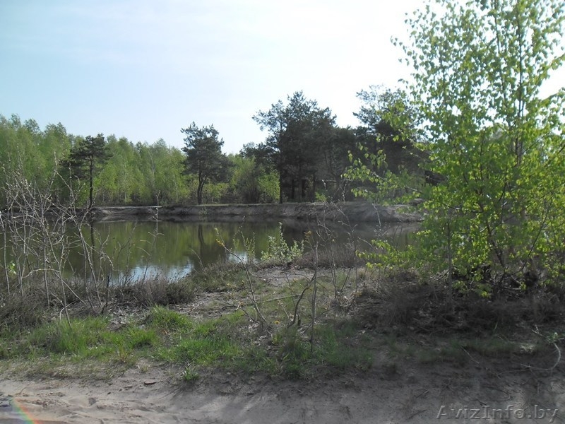 Земельный участок в пригороде Бреста - Изображение #1, Объявление #891108