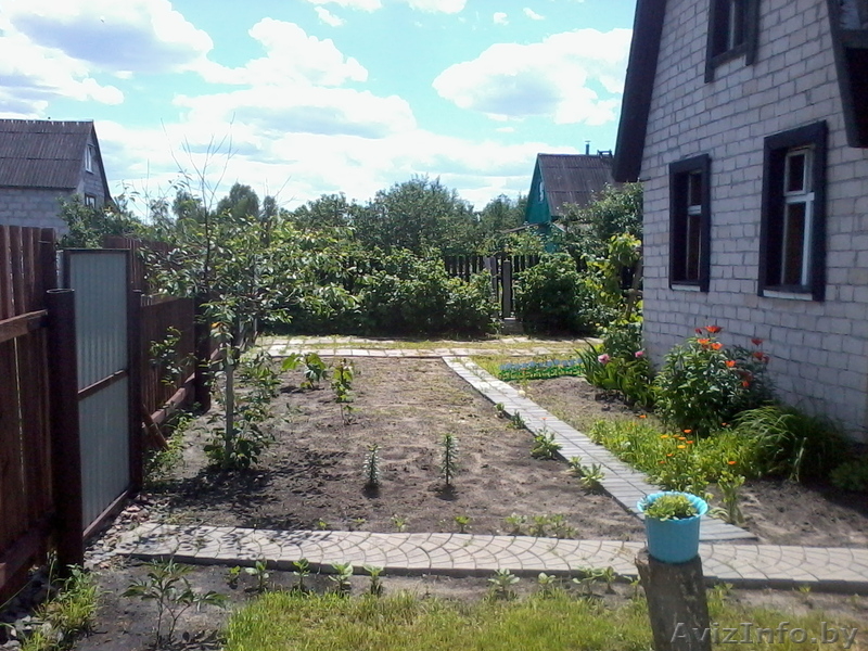 Продам дачу в Брестском районе - Изображение #5, Объявление #915087