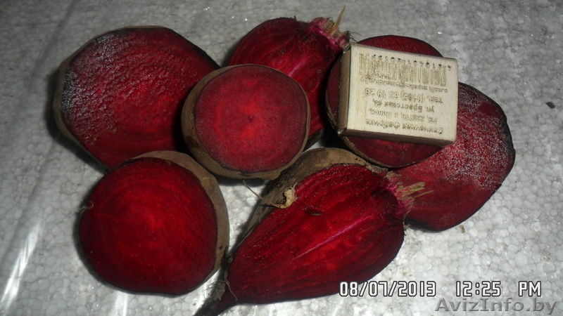 СВЕЖИЕ ОВОЩИ СОБСТВЕННОГО ПРОИЗВОДСВА - Изображение #9, Объявление #793934