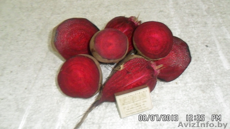 СВЕЖИЕ ОВОЩИ СОБСТВЕННОГО ПРОИЗВОДСВА - Изображение #10, Объявление #793934