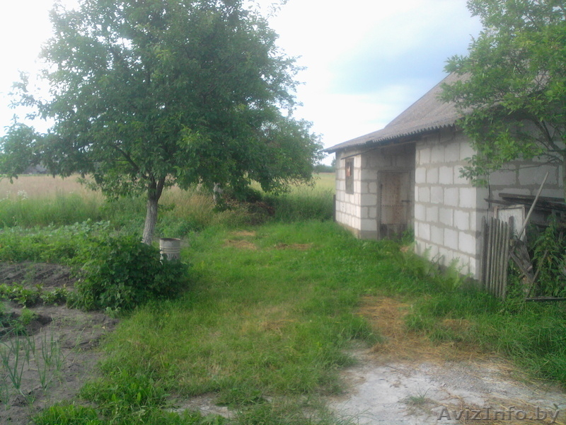Хороший участок , 7  км  от  г.Береза Брестской области - Изображение #3, Объявление #959678