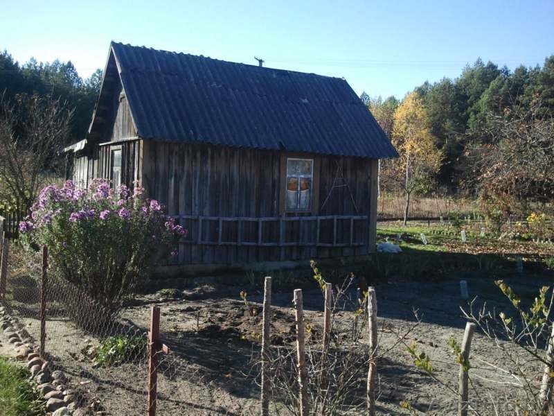 Отличная дача в живописном месте! 30км д.Великарита - Изображение #4, Объявление #979407