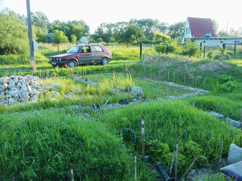 Участок в Казловичах с постройками. - Изображение #4, Объявление #981327