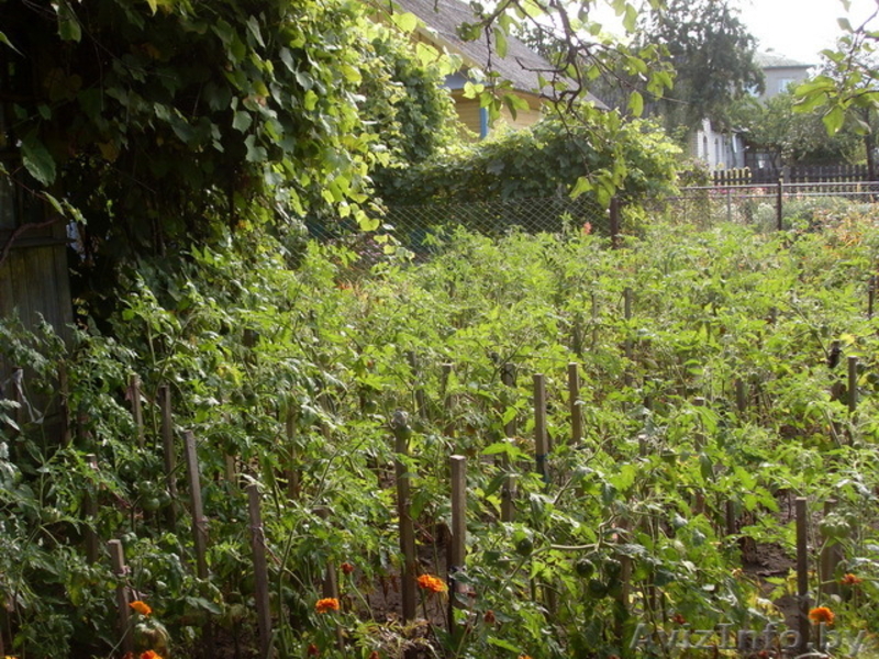 Дом в городе Береза - Изображение #4, Объявление #973429