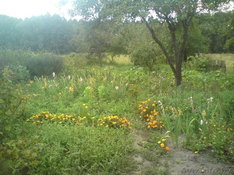 Продам деревянный дом в деревне Кошилово,17 км Брест,рядом Остромечево, Торг! - Изображение #3, Объявление #971426