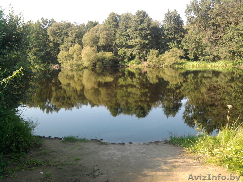 Участок в Казловичах с постройками. - Изображение #6, Объявление #981327