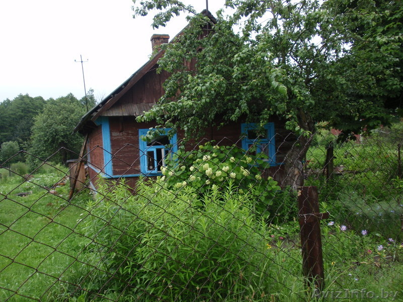 Продам дом(50м) с участком (2225м) в д.Большие Комарники. - Изображение #3, Объявление #997849