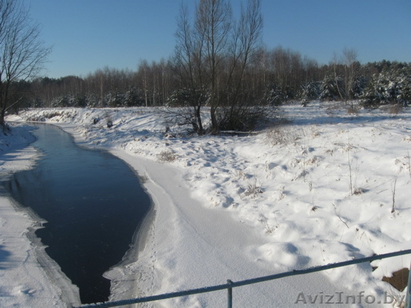 Дом в биосферном заповеднике направление Домачево,д.Черск - Изображение #7, Объявление #1028117